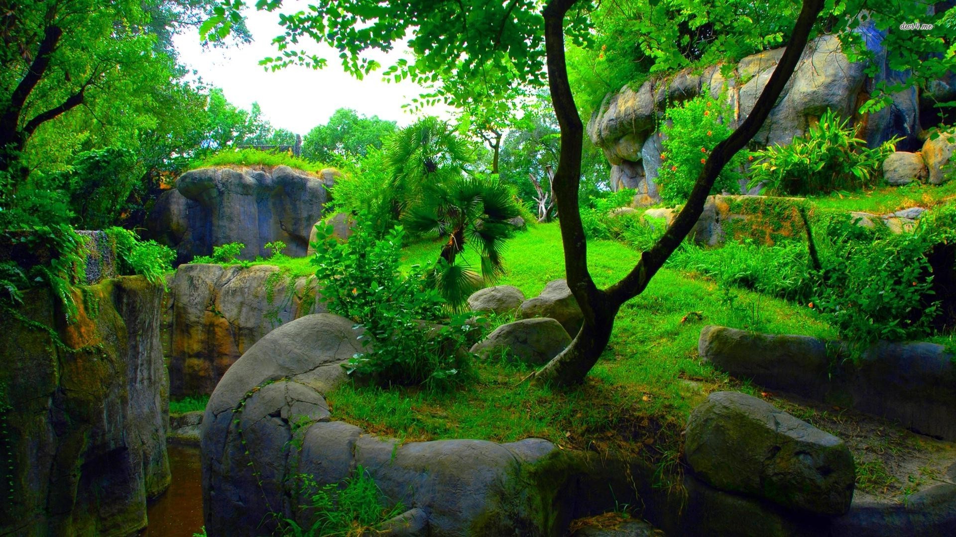 12479-green-garden-1920x1080-nature-wallpaper.jpg