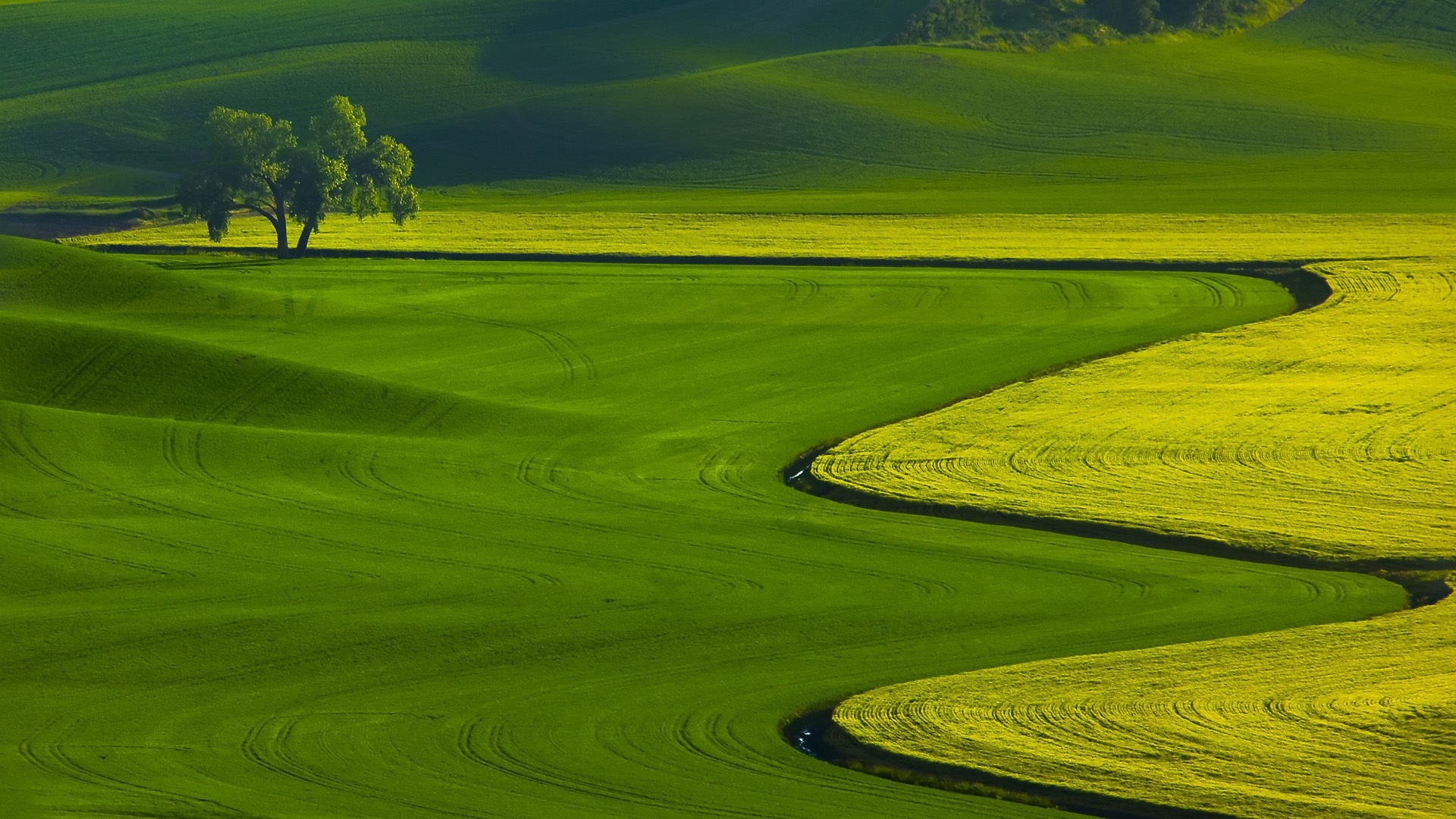 Green-Grass-Field-Wallpaper.jpg