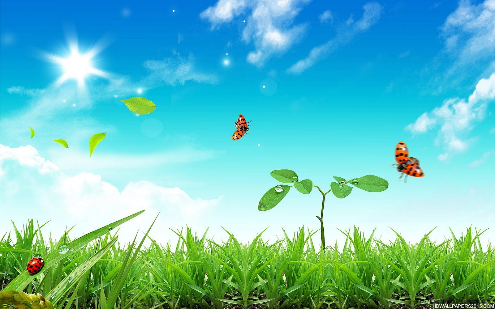 spring-background-wallpaper-6.jpg