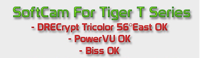 Tiger.jpg