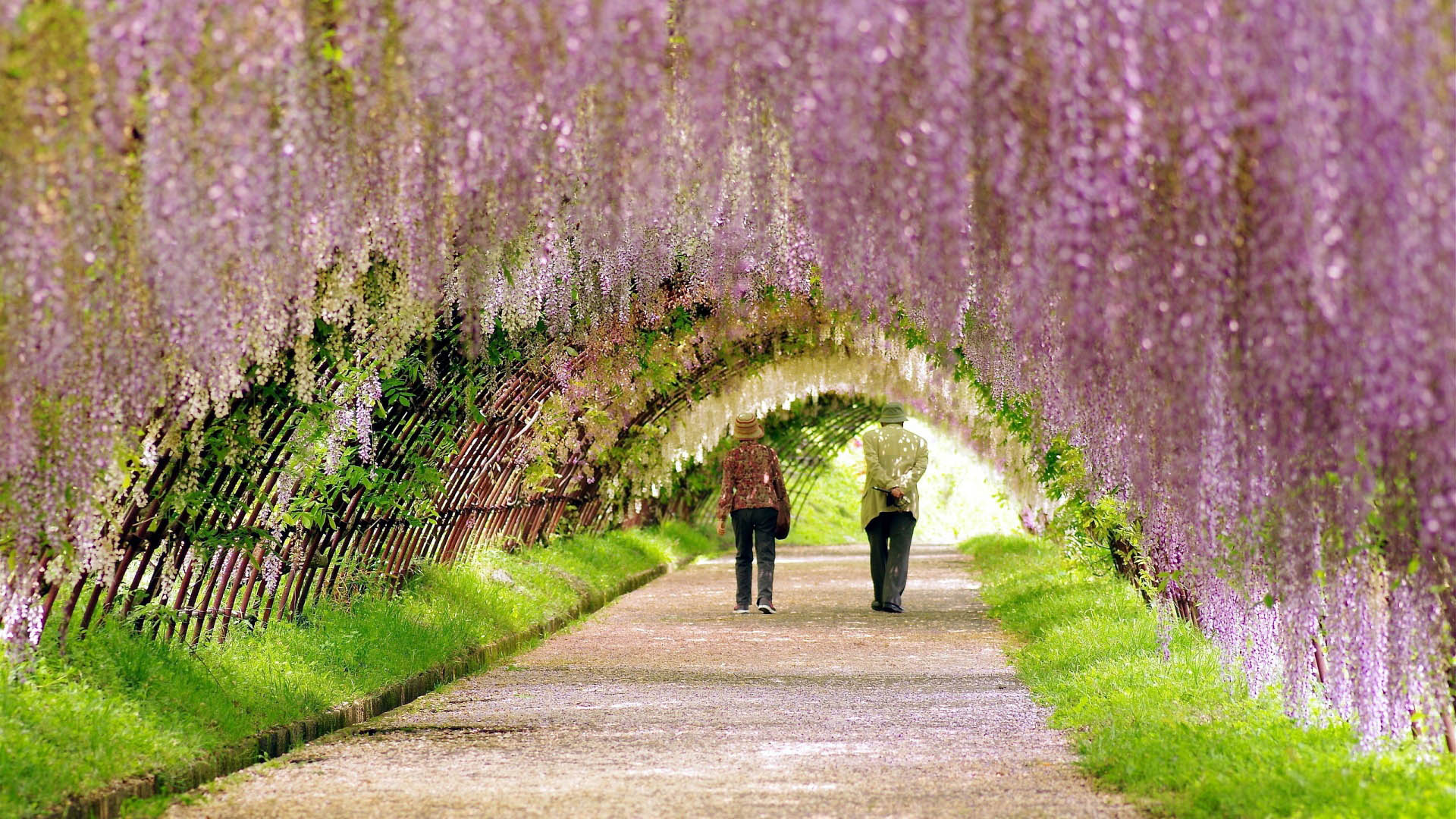 Spring-Garden-Wallpapers-1920x1080.jpg
