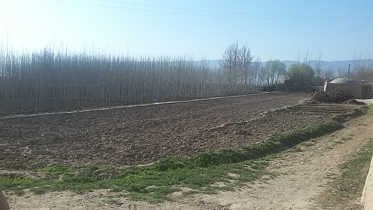 20160306_085422.jpg