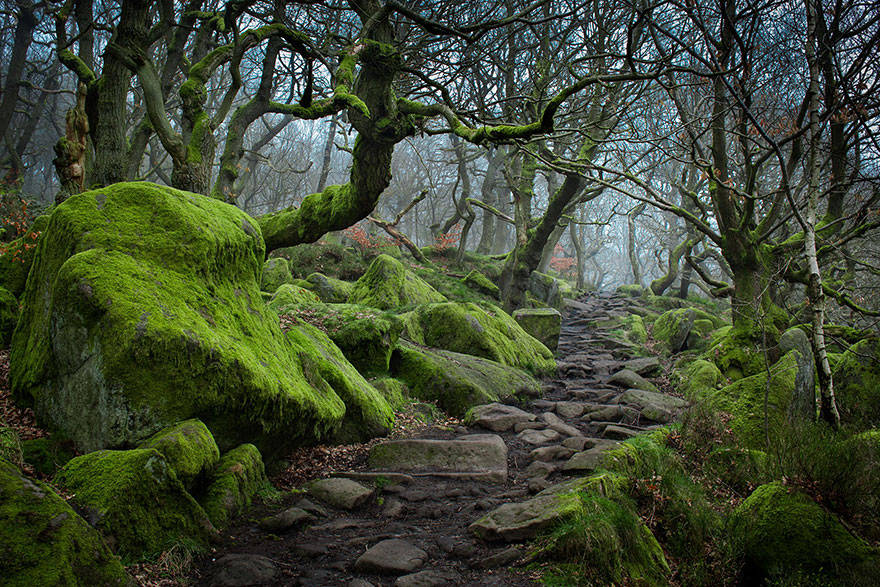 amazing-paths-6.jpg