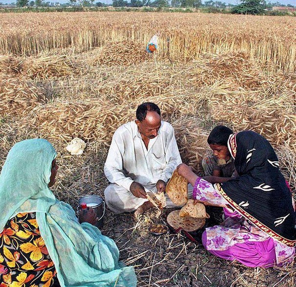 Pakistani-Village-Photo-A-farmer-having-lunch-in-the-fields-Pictures-of-Pakistani-Village-Life.jpg