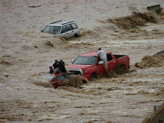 car swiming.jpg