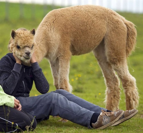 Amazing funny Animal  picture (290) (1).jpg