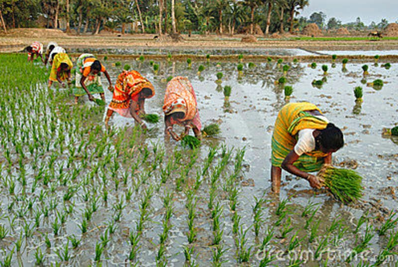 PGL2_indian-village-life.jpg