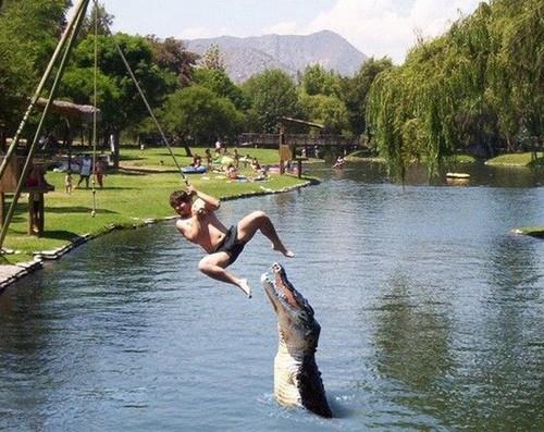 BestAmazingAndFunnyWallpaperGalleryPictures5jpgscaled500_xrbyf.jpg