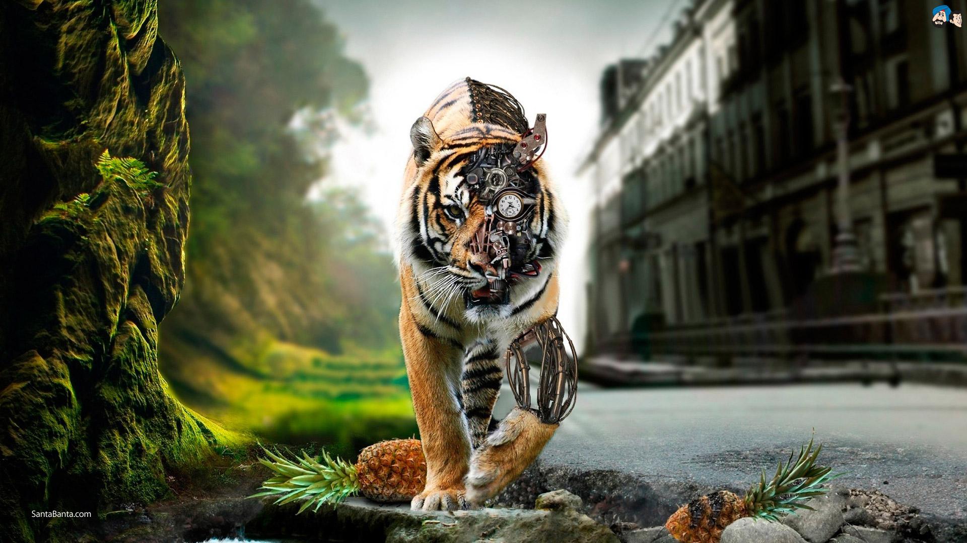 amazing_tiger.jpg