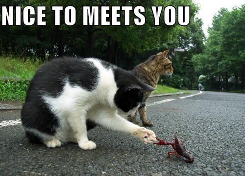 nice-to-meet-you-5.jpg