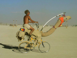 funny-wallpaper-free-download-6-300x225.jpg