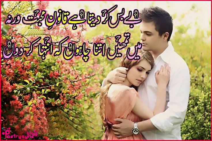 6e01a9dd56101499bb2de0e2af58ed2b.jpg