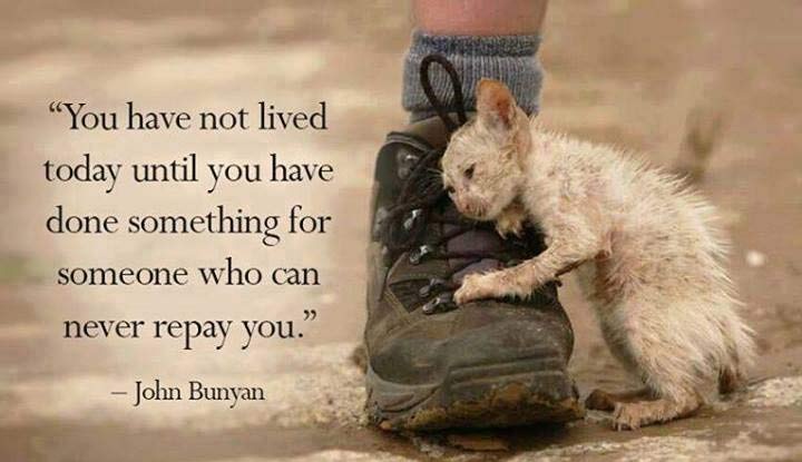 John-Bunyan-Quotes-Pictures-Inspirational-John-Bunyan-Quotes-Thoughts-Sayings-Images-Wallpapers-Photos.jpg