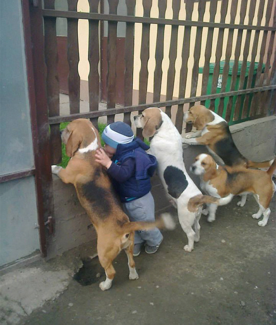 tumblr_nzwie63qkj1qgthdfo2_540.jpg