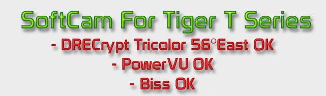 Tiger.jpg