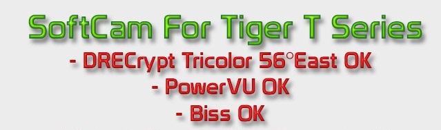 Tiger.jpg