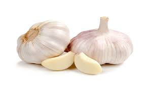 garlic.jpg