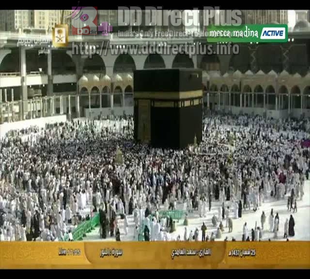 mecca_madina_active_dishtv_ddfreedish.jpg