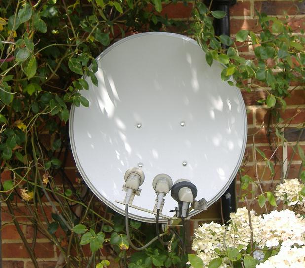 dish01.jpg