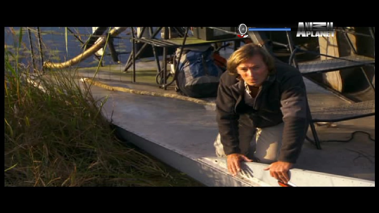 Animal Planet, 95 E, 12647 H