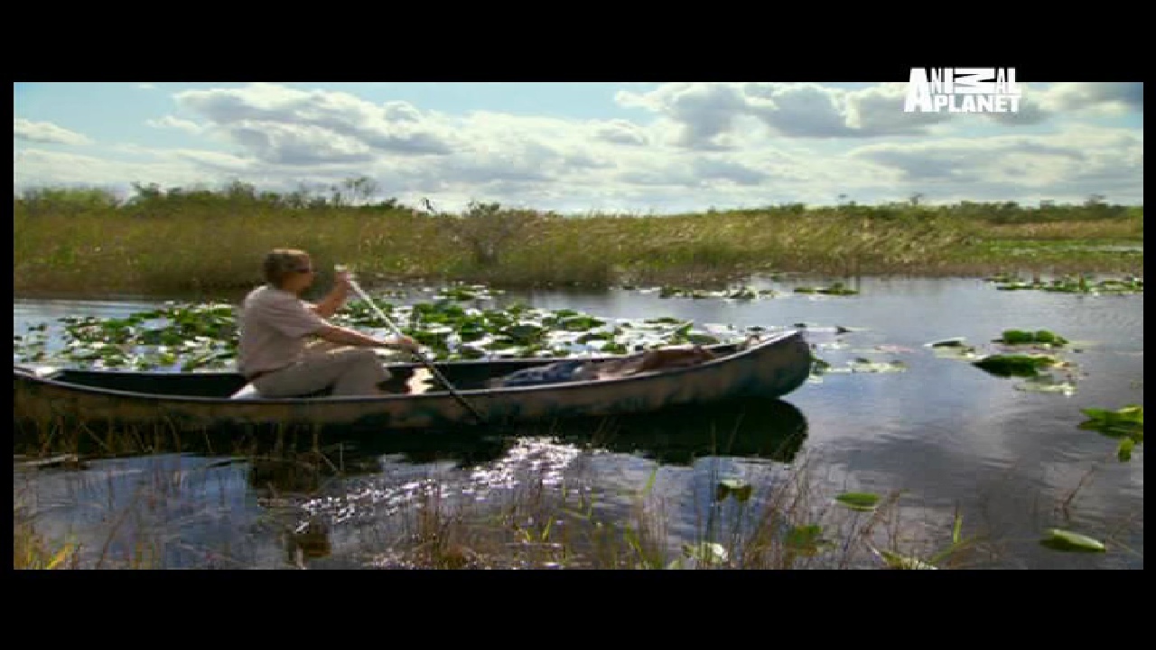 Animal Planet, 95 E, 12647 H