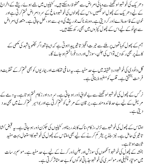 Untitled-2.png