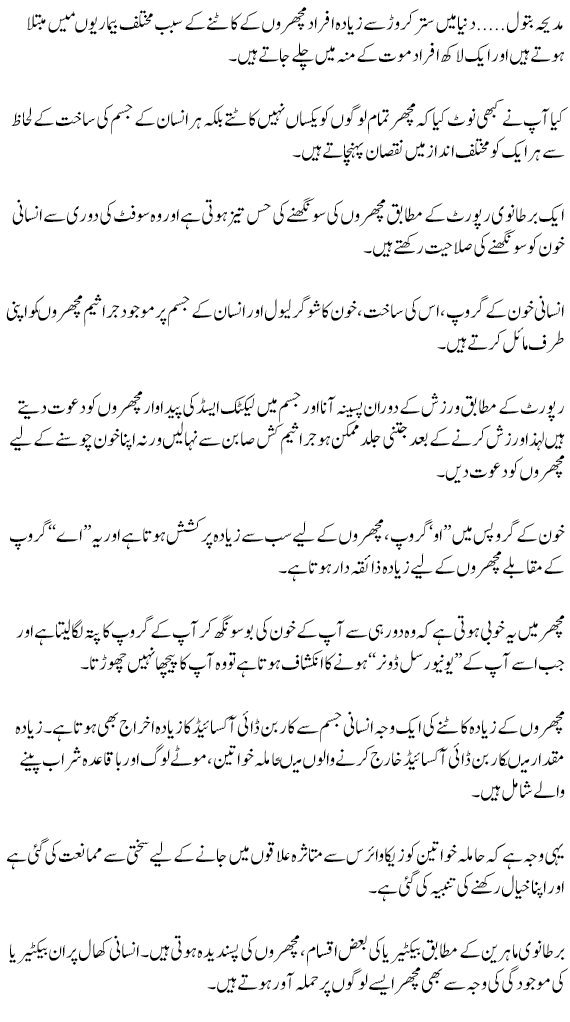 147913_details.png