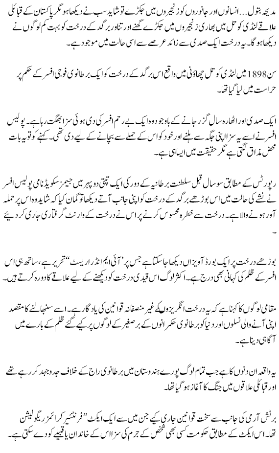 170465_details.png