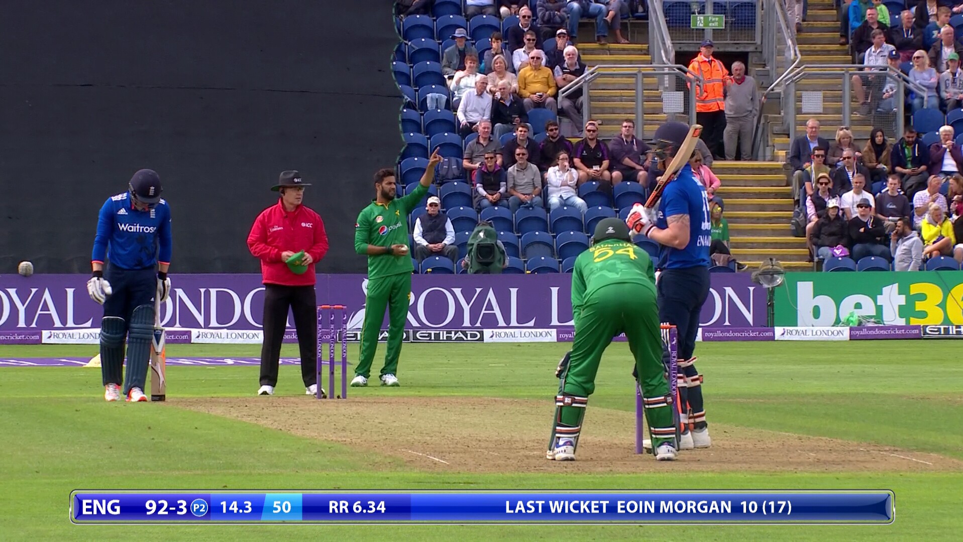 Cricket feed HD 105E 3672