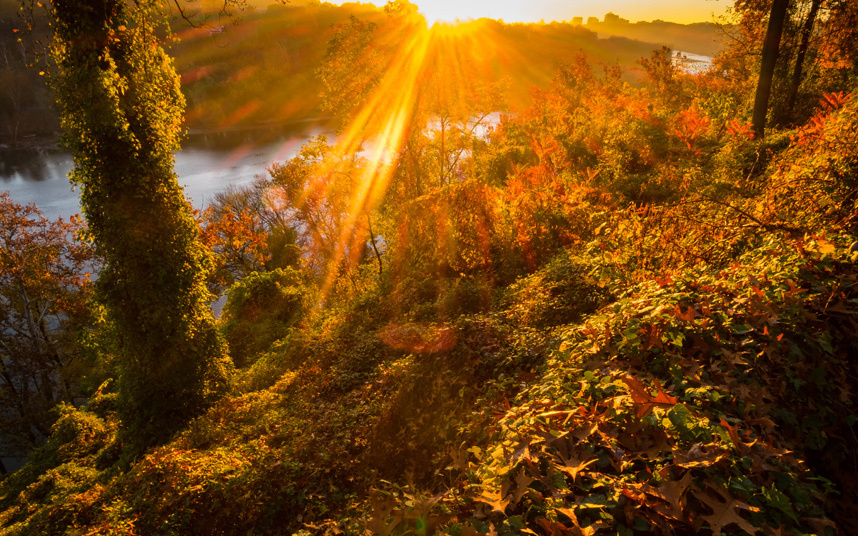 potd-autumn_3492415k.jpg