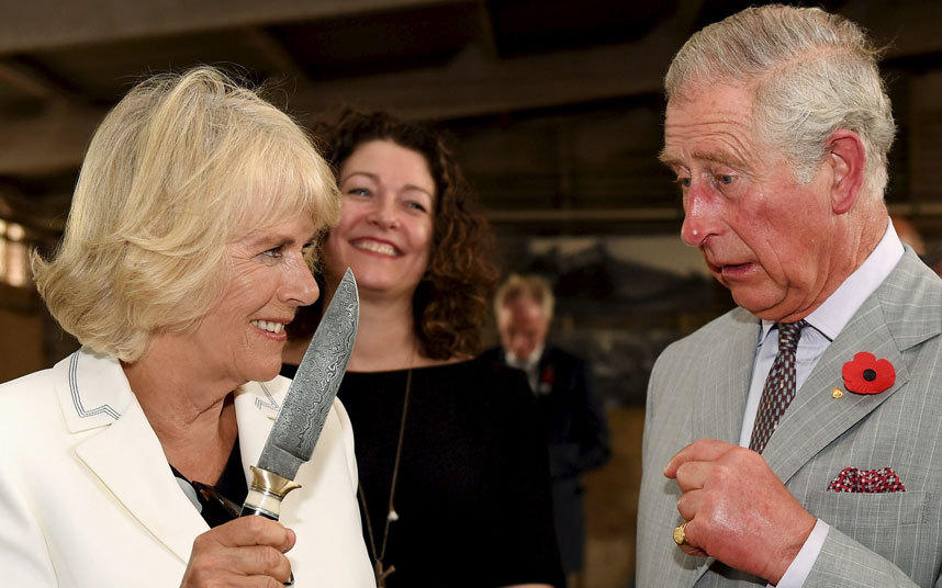 POTD-Royal-Camilla_3496312k.jpg