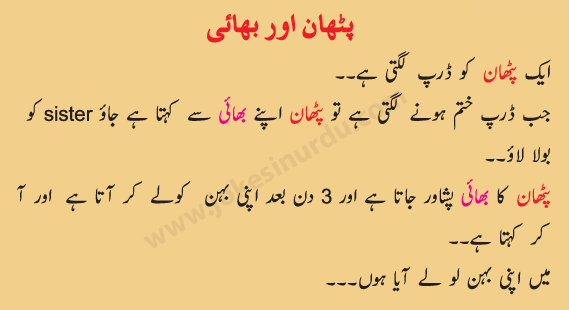 pathan-or-bhai.gif