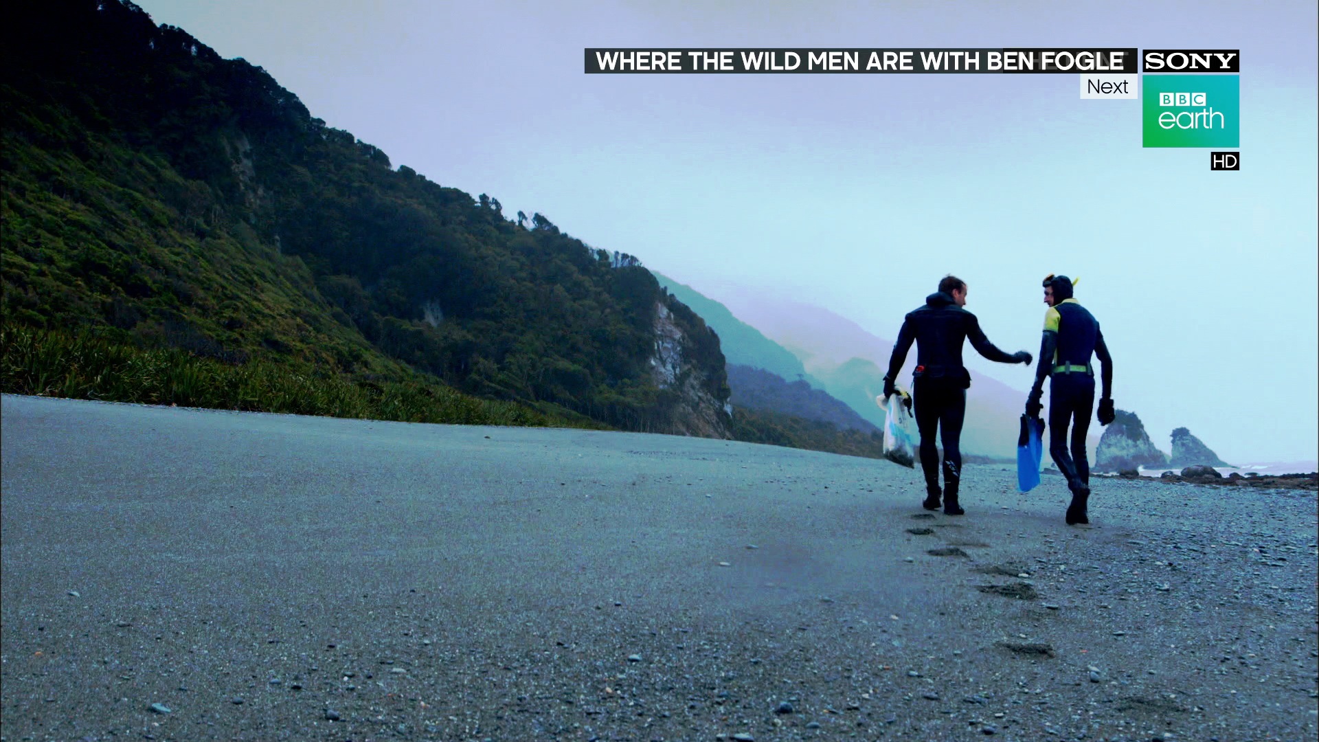 Sony BBC Earth HD<br />4180 V 30000<br />105.5E