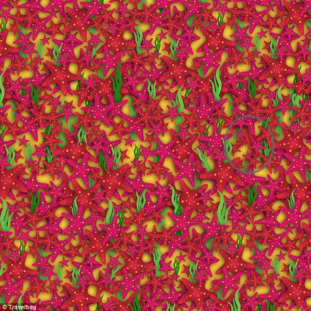 636150806025410567.jpg