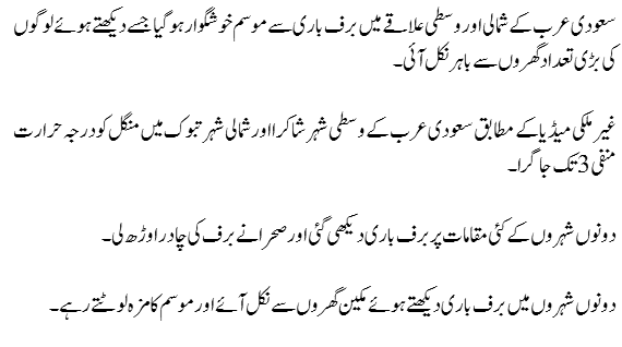 224098_details.png