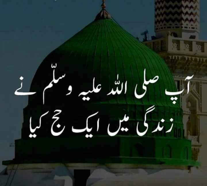 FB_IMG_1480713932603.jpg