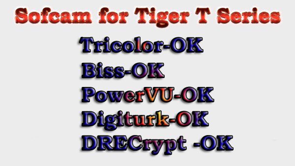 TIGER.jpg