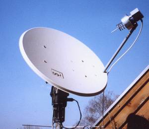 offset_dish2.jpeg
