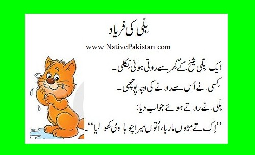 Miser-Jokes-in-Punjabi-Billi-ki-Faryaad-Fresh-Miser-Humour.jpg