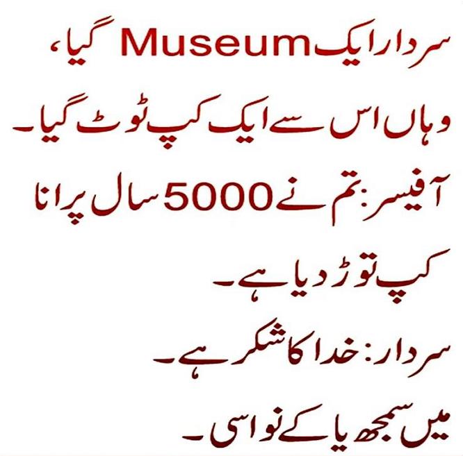 sardar-museum-funny-joke-picture38511775_20121215227.jpg