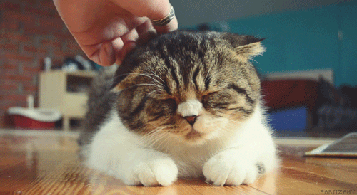 123.gif