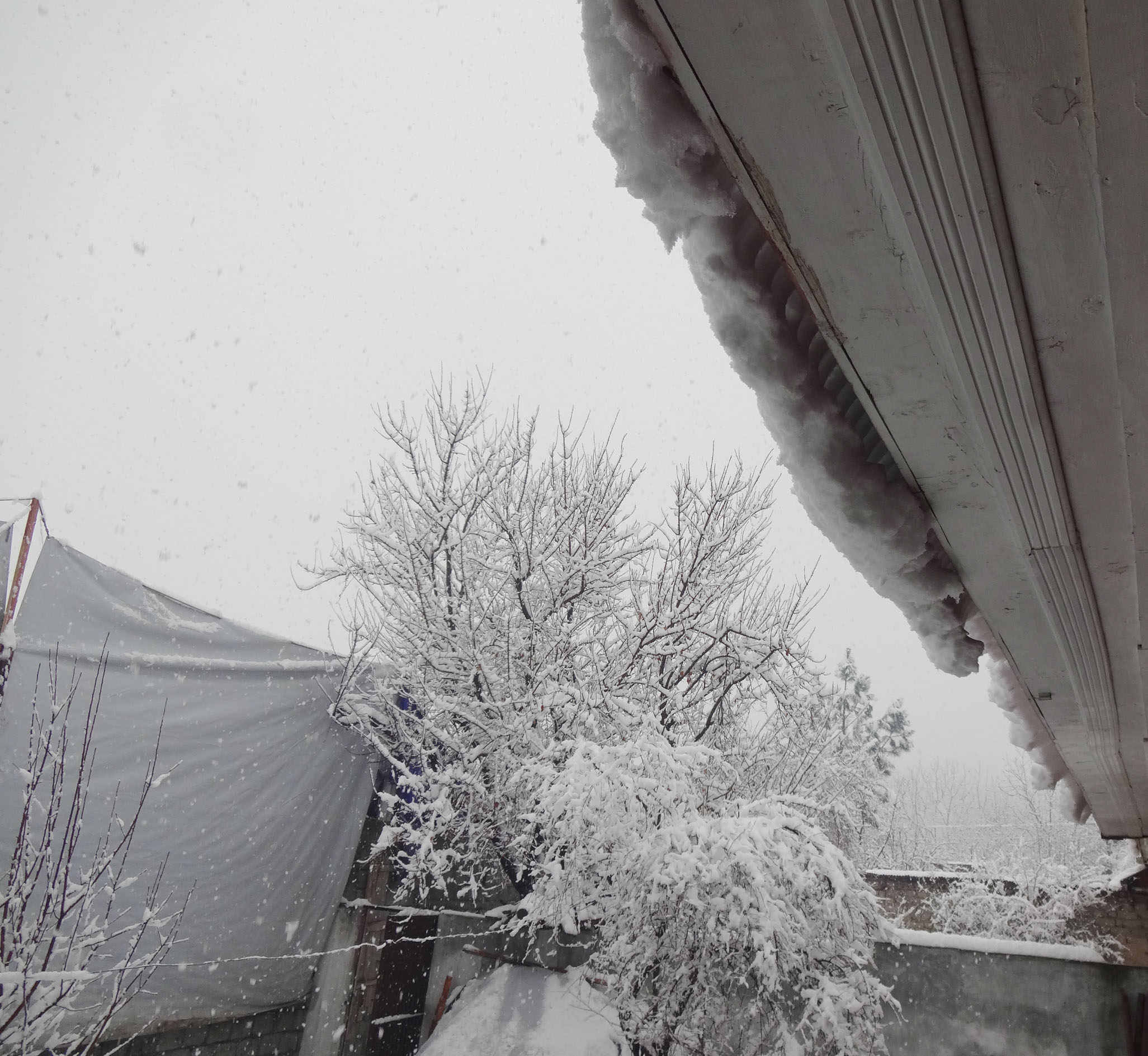 DSC02334.JPG