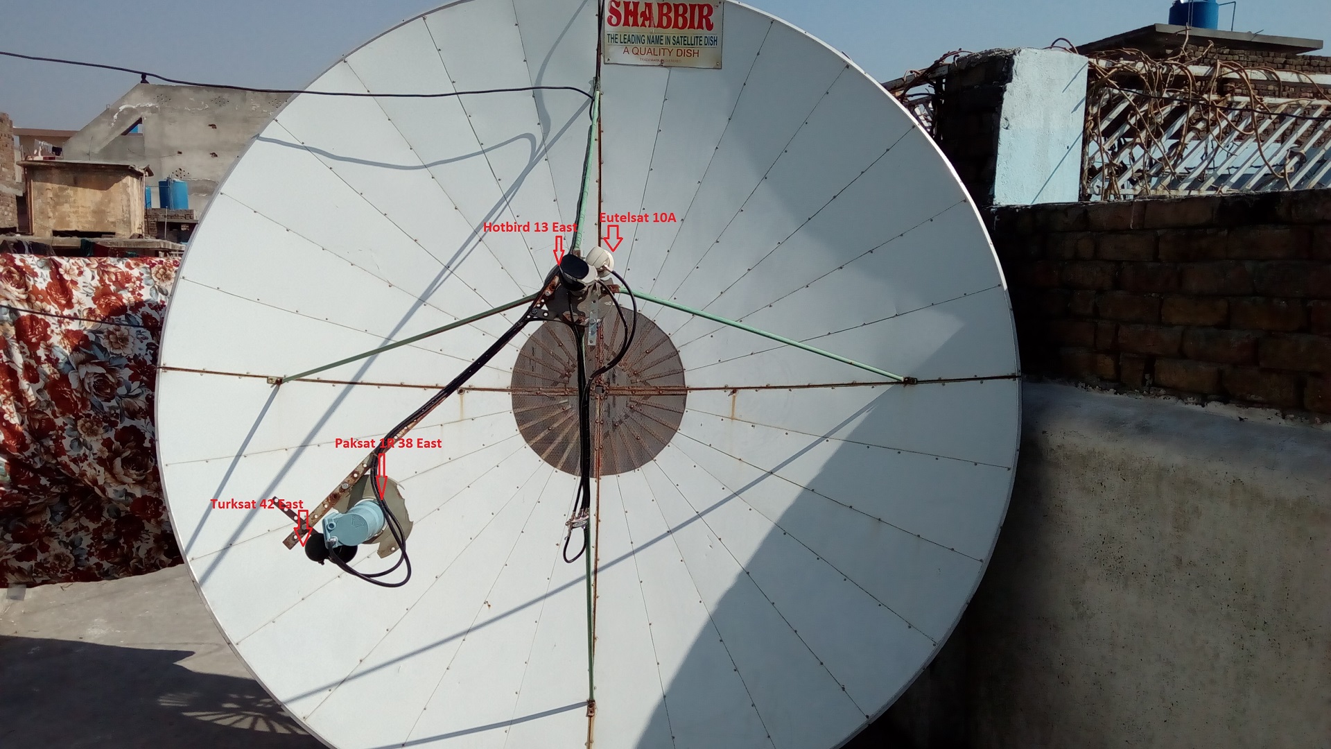 dish picture