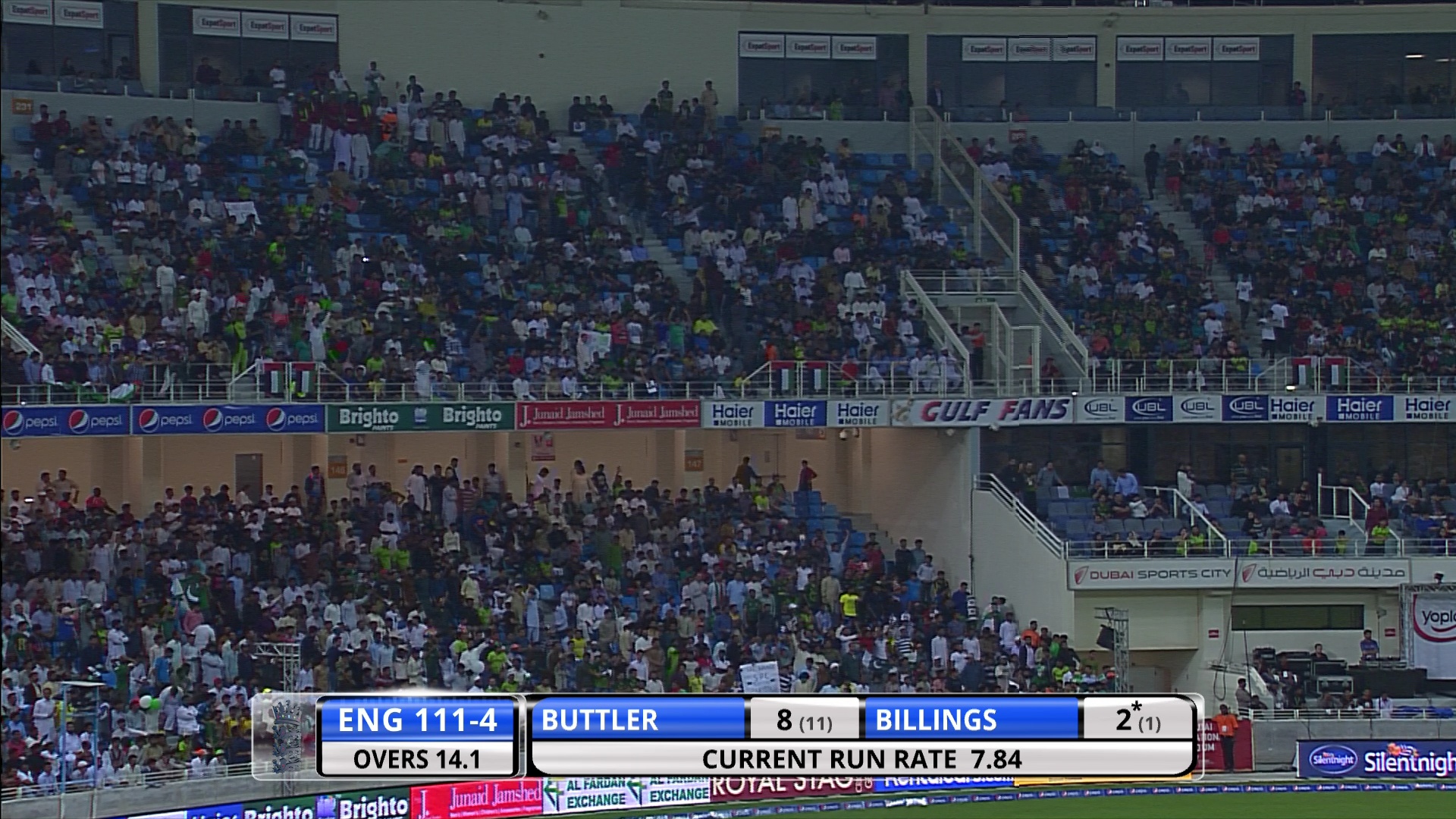 CRICKET.jpg