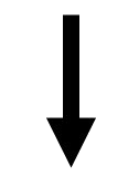 Teer.png