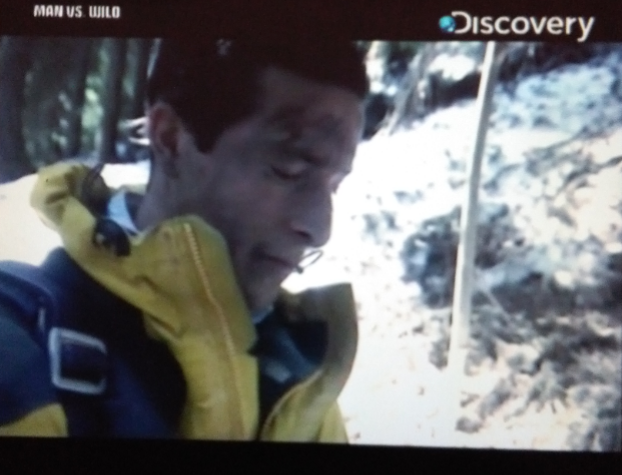 Dishtv