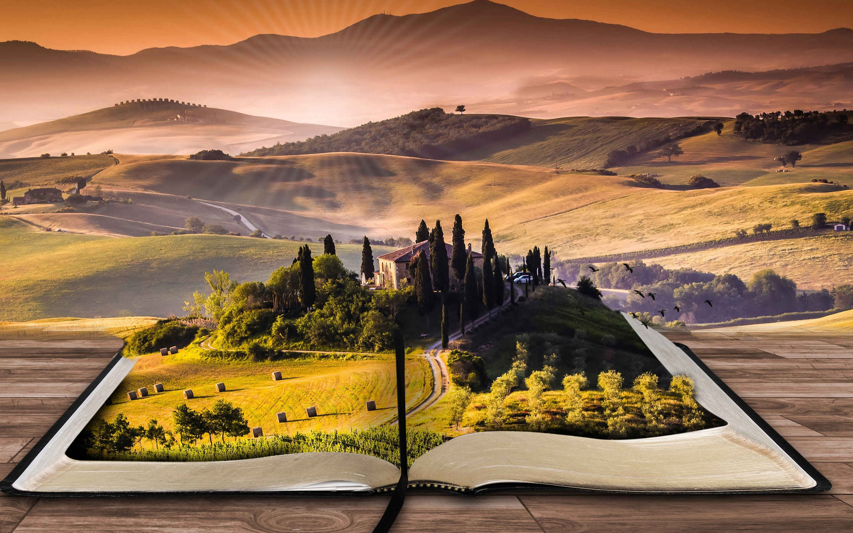 landscape_book_4k-wide.jpg