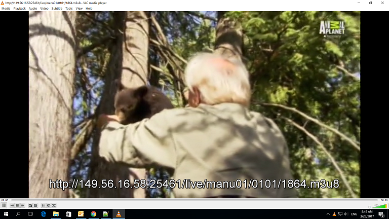 Screenshot (315).png