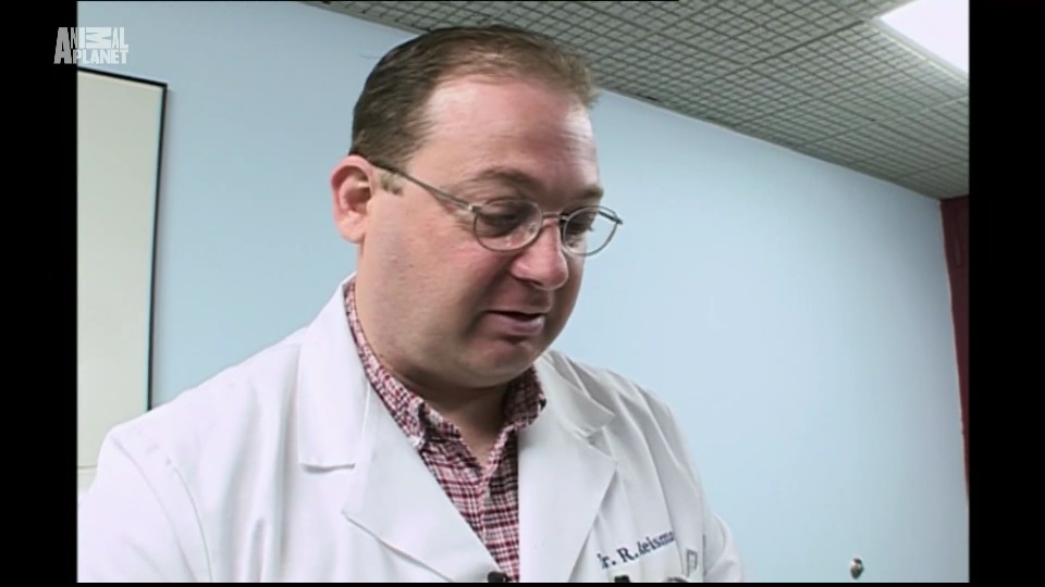 animal planet hd.jpg
