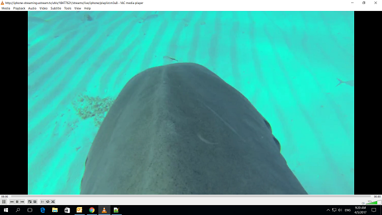 Screenshot (335).png